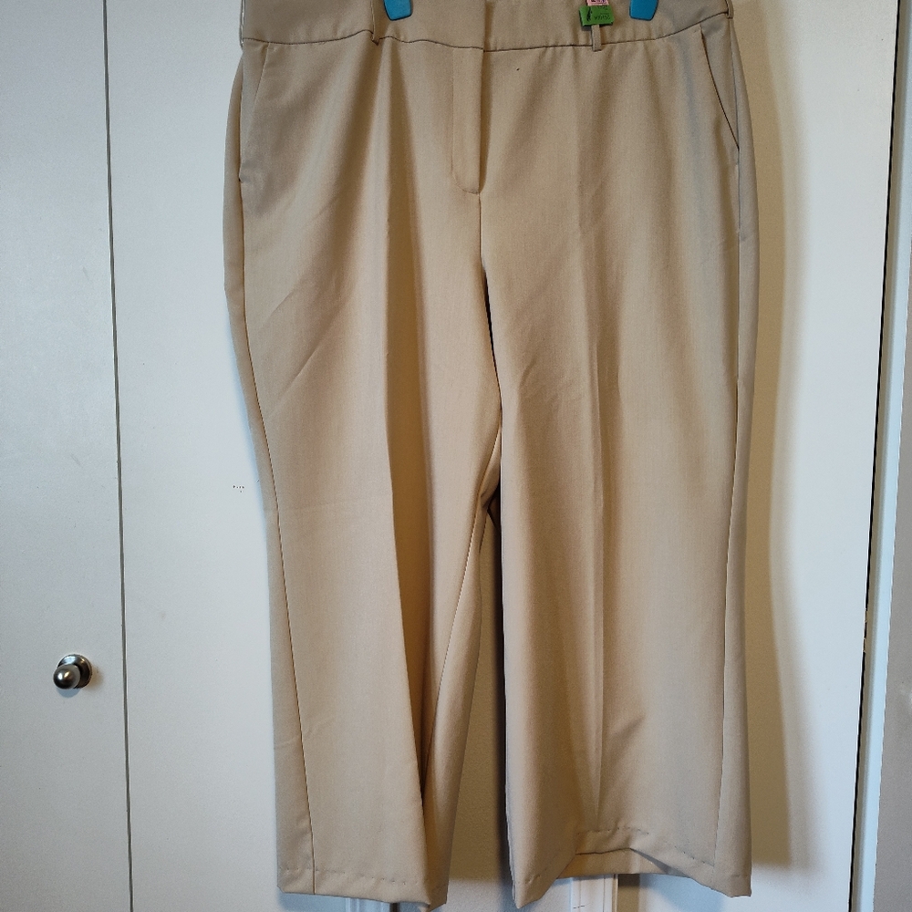 Lane Bryant Beinge Altered to 27" Wide Leg Trouser